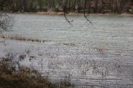 IMG_7286.webp IMG_7286.webp