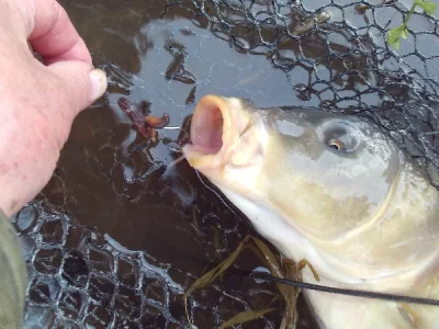 SUNP0636.webp SUNP0636.webp