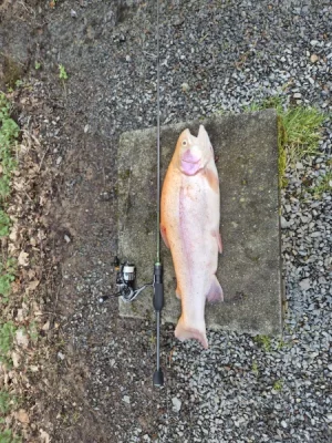 20260404_155114.webp 20260404_155114.webp