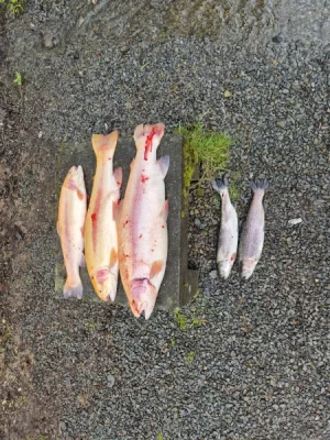 20260404_112233.webp 20260404_112233.webp