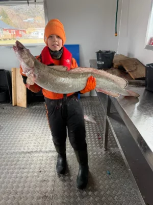 IMG-20260405-WA0009.webp IMG-20260405-WA0009.webp