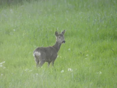 DSCN2979.webp