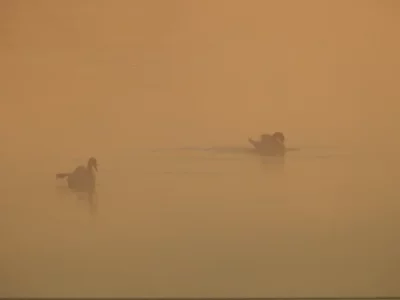 DSCN3051.webp
