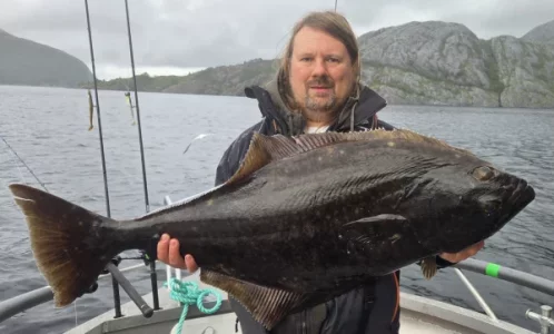 1000049679.webp