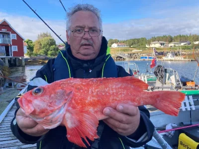 2022%20Norwegen%20Alle%20Fische%20Stand%202021%20(10041)%20%20ANGELN.webp