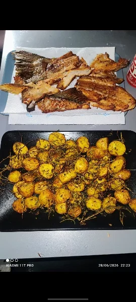 Screenshot_20260628_231910_WhatsApp.webp