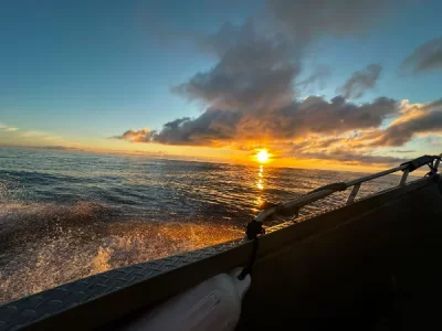 IMG-20260624-WA0022.webp