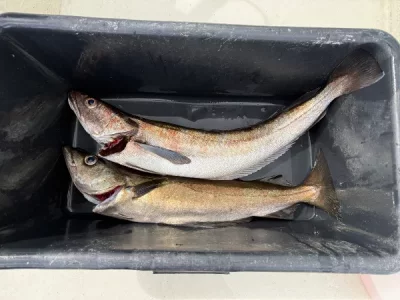 IMG_7671.webp