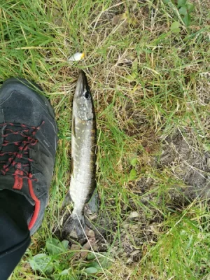 IMG-20260712-WA0001.webp