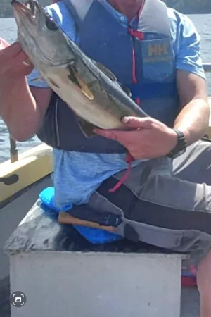 Screenshot_20260719_194428_Gallery.webp Screenshot_20260719_194428_Gallery.webp