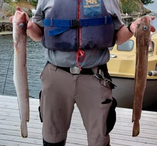 Screenshot_20260723_150521_Gallery.webp Screenshot_20260723_150521_Gallery.webp
