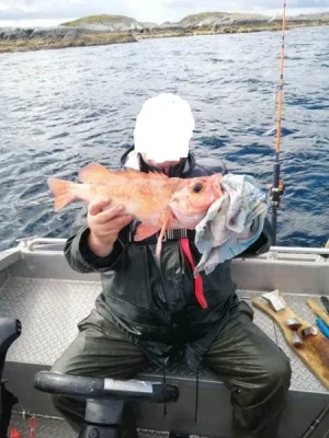 IMG-20260804-WA0002.webp