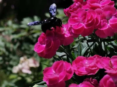 IMG-20260813-WA0004.webp