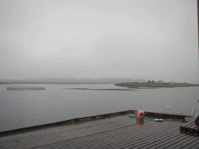 1786789967153.webp
