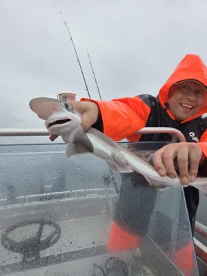 IMG-20260815-WA0009.webp