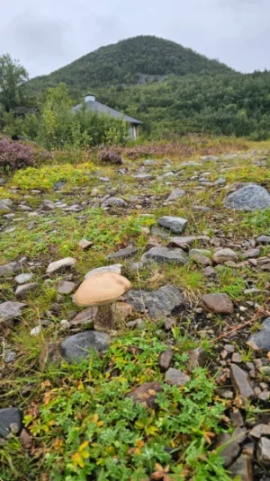 IMG-20260817-WA0064.webp