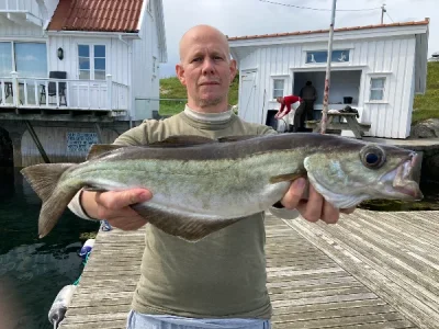 2022%20Norwegen%20Alle%20Fische%20Stand%202021%20(10021)%20%20ANGELN.webp 2022%20Norwegen%20Alle%20Fische%20Stand%202021%20(10021)%20%20ANGELN.webp