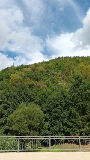 1000125099.webp