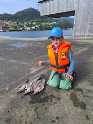 IMG-20260824-WA0021.webp