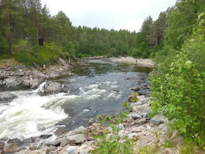 DSCN2761.webp