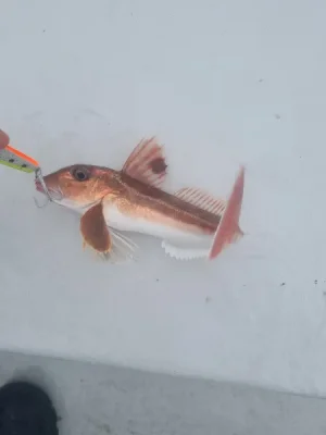 20260914_094853.webp 20260914_094853.webp