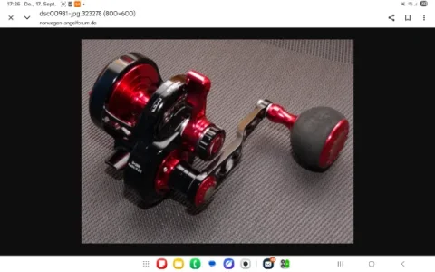 Screenshot_20260917_172614_Chrome.webp