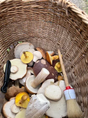 IMG_3829.webp