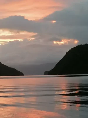 img1651300628343.webp