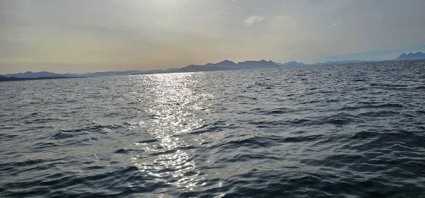 20260930_121754.webp