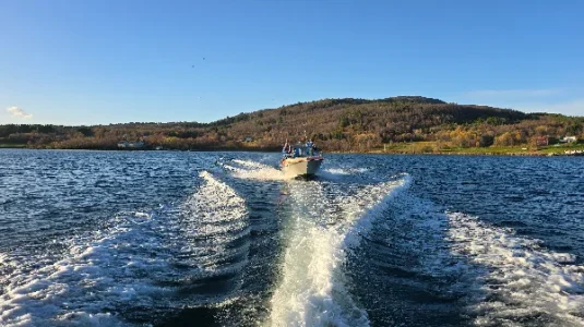 20261003_091504.webp