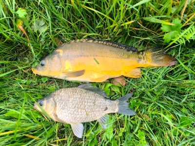 IMG_20261004_095427.webp
