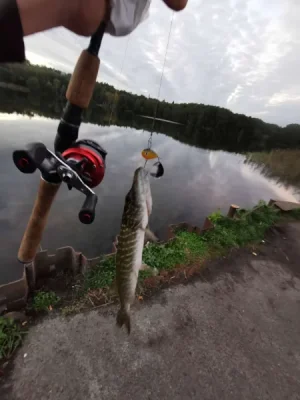 IMG-20261013-WA0004.webp