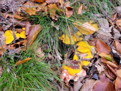 20261013_130429.webp