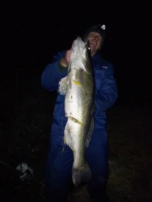 IMG-20121031-WA0001 (1).webp