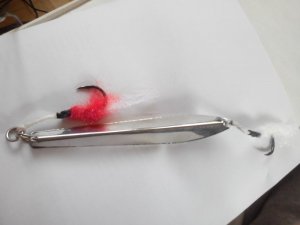 IMG_20160414_092025.jpg IMG_20160414_092025.jpg