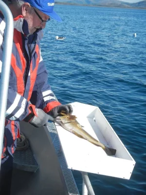 Dscn0279.webp Dscn0279.webp