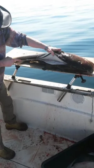 k-20160527_115134.jpg k-20160527_115134.jpg