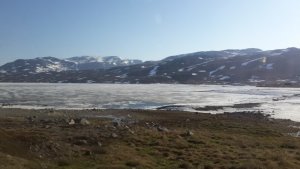20160603_074121.jpg 20160603_074121.jpg
