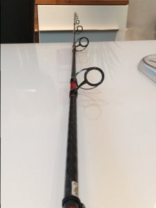 image.jpeg image.jpeg