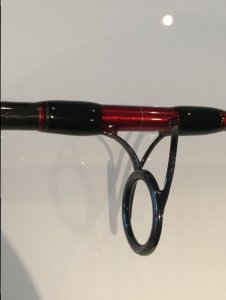 image.jpeg image.jpeg