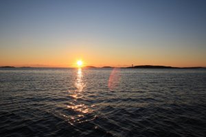 IMG_5690.JPG