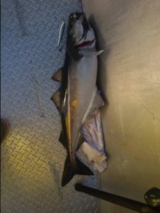 20160705_181754.jpg