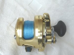 P1010308.jpg P1010308.jpg