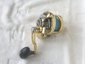 P1010309.jpg P1010309.jpg