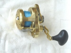 P1010311.jpg P1010311.jpg