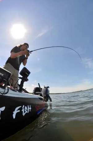 Hecht 16.06.13-3.webp