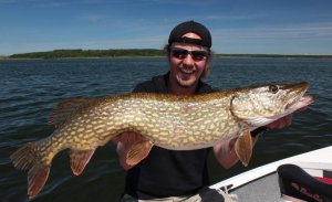 Hecht 16.06.13-1-1.jpg