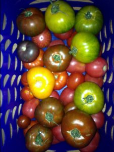 image.jpeg image.jpeg