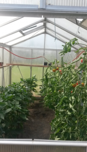 upload_2016-7-29_14-31-52.png upload_2016-7-29_14-31-52.png