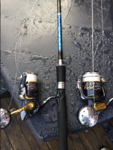 image.jpeg image.jpeg